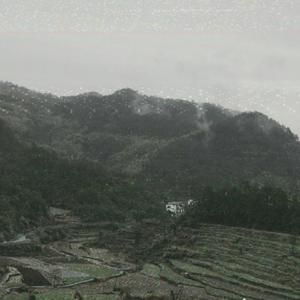 梁老师Tsong-不如不见（一九八三 remix）