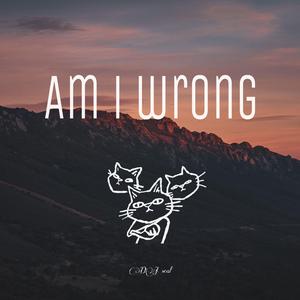 Nico & Vinz-Am I Wrong（DJ seal remix）