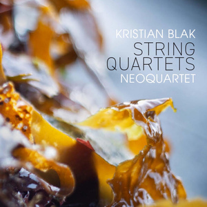 String Quartet No. 2 Images:III. Várkvøld á Høgareyni