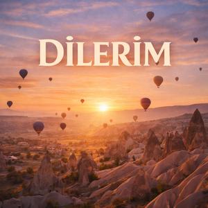 Dilerim