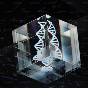 斯德哥尔摩的爱恋