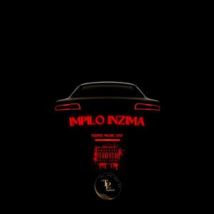 IMPILO INZIMA (feat. DINEO, MAPASEKA & LEBZABOY)
