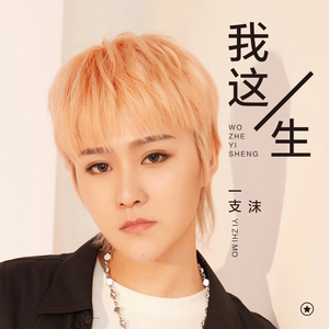 我这一生 (DJ沈念版)