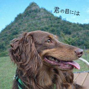 君の目には