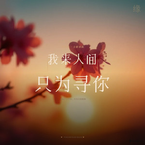 我来人间只为寻你