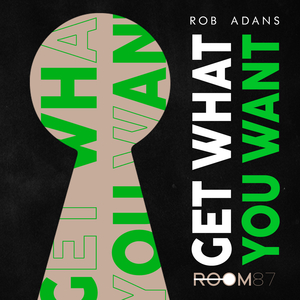 Get What You Want (Radio)