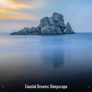 Solitude of the Seashore