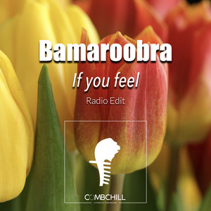 If You Feel (Radio Edit)