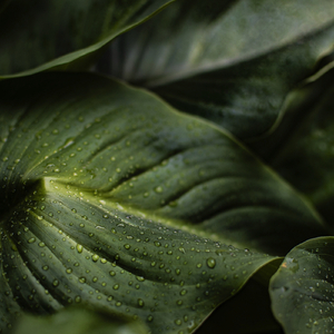 Bicycle Country Ride