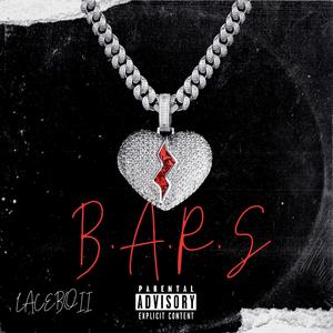 B.A.R.S