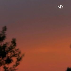 IMY