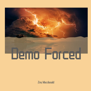 Demo（Forced）