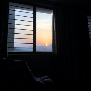 柚子树下-至柚子