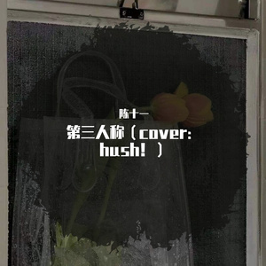 第三人称（cover：hush！）