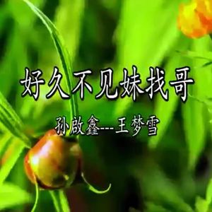 好久不见妹找哥