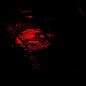 DSC (Freestyle 7)