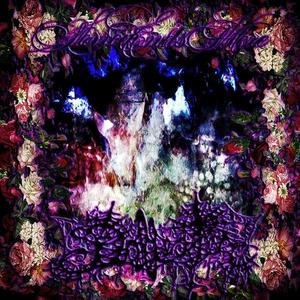 BLOODFEAST(CLUBLAND BIRTHDAY MASSACRE 1995)