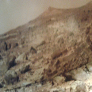 おっぱいだいすきMARSROVER