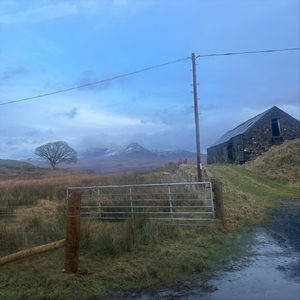 Violin Sonata No. 3 in C minor, Op. 45: II. Allegretto espressivo alla Romanza (arr. Jonathan Yanik)