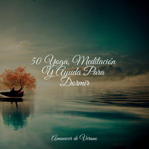 Ecos del Cosmos Lamentando