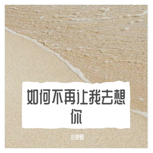 如何不再让我去想你（翻自 井迪）