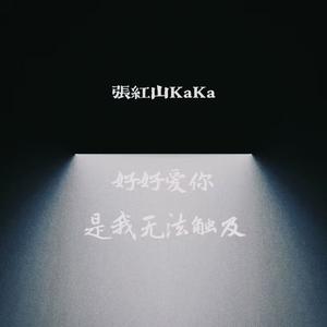 好好爱你,是我无法触及