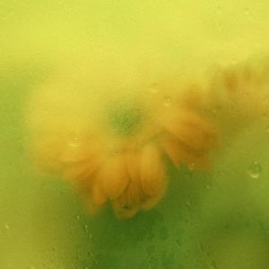 在夏天的田野间（Attention Remix）