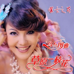 草原一枝花 (DJ版)