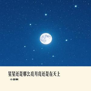 星星还是那么亮月亮还是在天上(Cover DJ.SmartD)