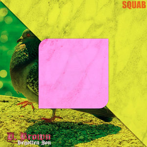 Squab