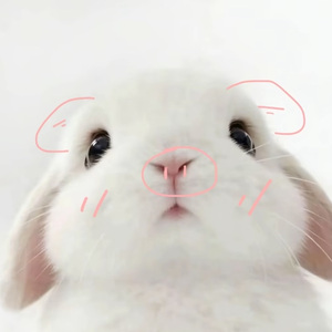 等雪融化要一个季节