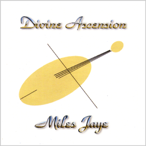 I've Been a Fool For You