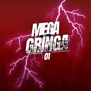 MEGA DA GRINGA 01 (feat. Nem dos vídeos)