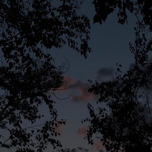 禹元材-又（remix）（李贞语 remix）