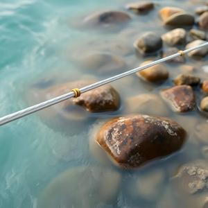 Super tuna in the blue