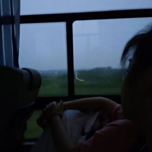 想你时风起