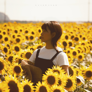 잔잔한 노래 (새벽 두 시)