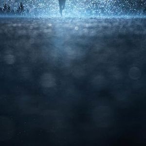 我是不是该安静的走开