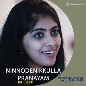 Ninnodenikkulla Pranayam (Cover Version)