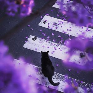 "3AM" Sexy Drill Type Beat