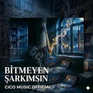 BİTMEYEN ŞARKIMSIN