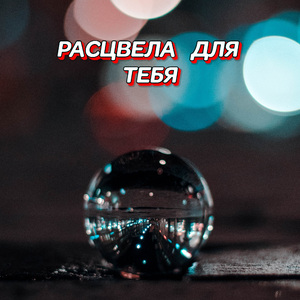 РАСЦВЕЛА ДЛЯ ТЕБЯ