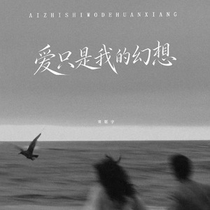 爱只是我的幻想