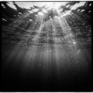 Ocean