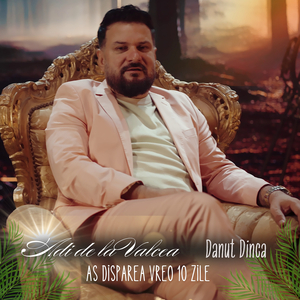 As Disparea Vreo 10 Zile