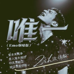 唯一（Emo烟嗓版）