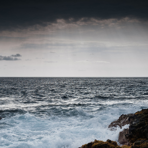 ঘুমানোর আগে ৭ বার যদি ঘোড়াটি করতে পারেন