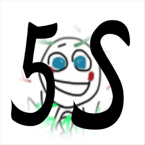 5S
