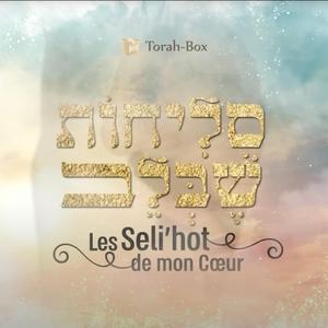 סליחות שבלב