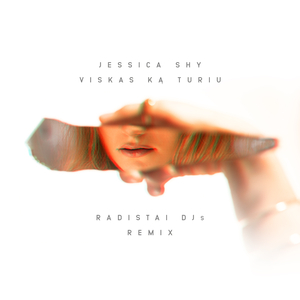 Viskas Ka Turiu (Radistai Dj's Remix)